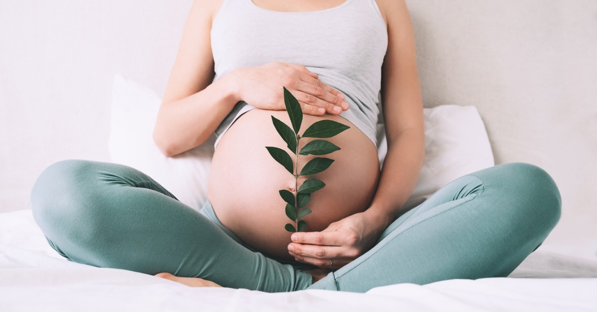 Pregnant woman holds plant