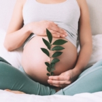 Pregnant woman holds plant