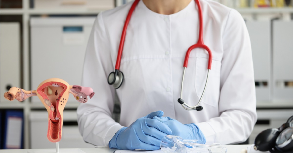 gynecologist in office near model of uterus and ovaries