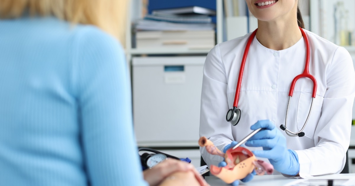 gynecologist holds model of female reproductive system