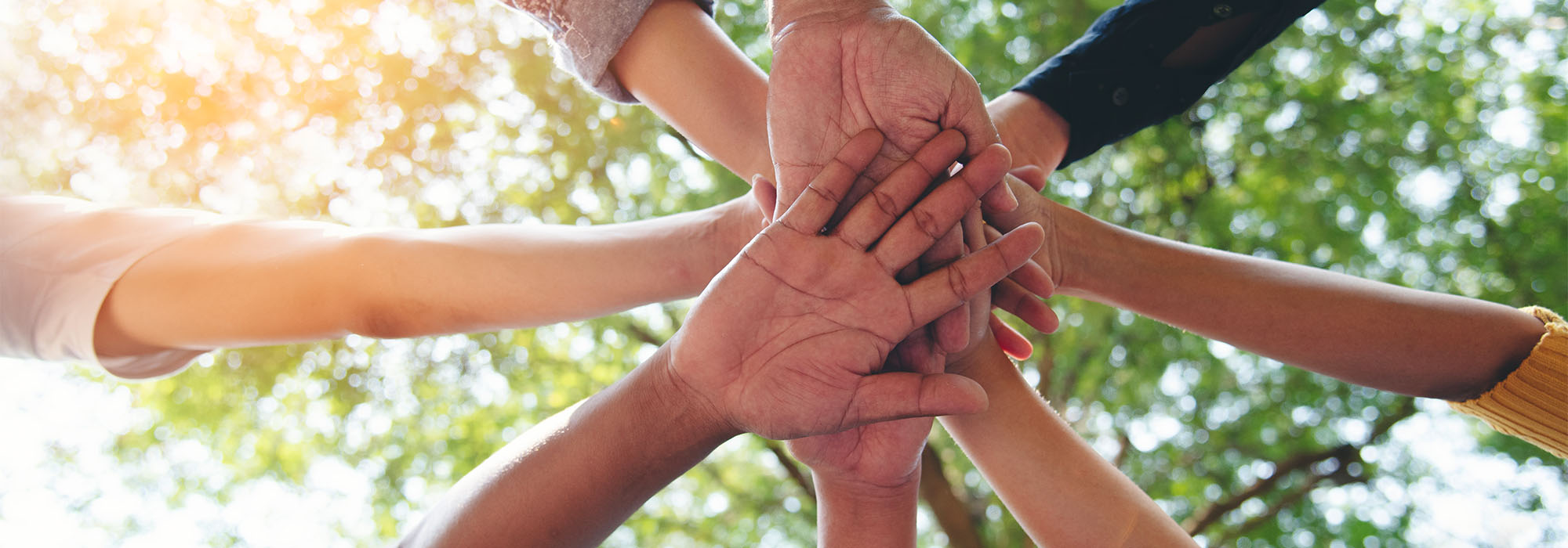 Multiple hands stacked on top of each others' in teamwork